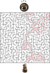 Labyrinth_Task.png