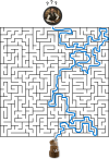 Labyrinth_Task vyriešene.png